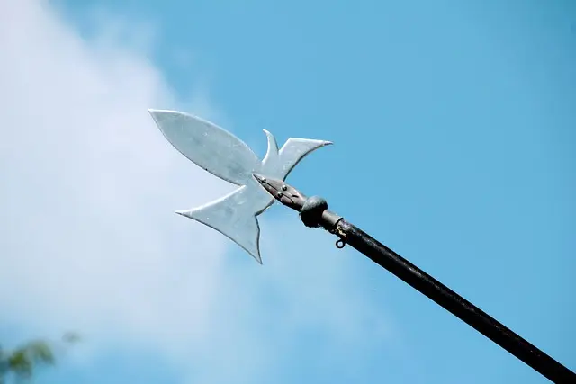 Top Leadership Coaching Tools 2026: A Comprehensive Guide